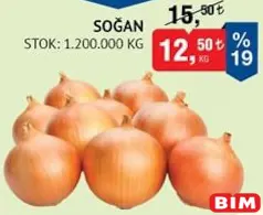 SOĞAN KG SOĞAN KG